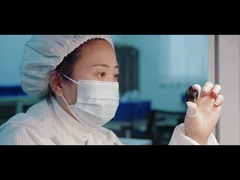 введение компании